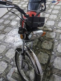 موديل 2025 • أوراق كاملة • بحالة جديدة