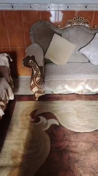 كنب • نظيف • فيه مجال