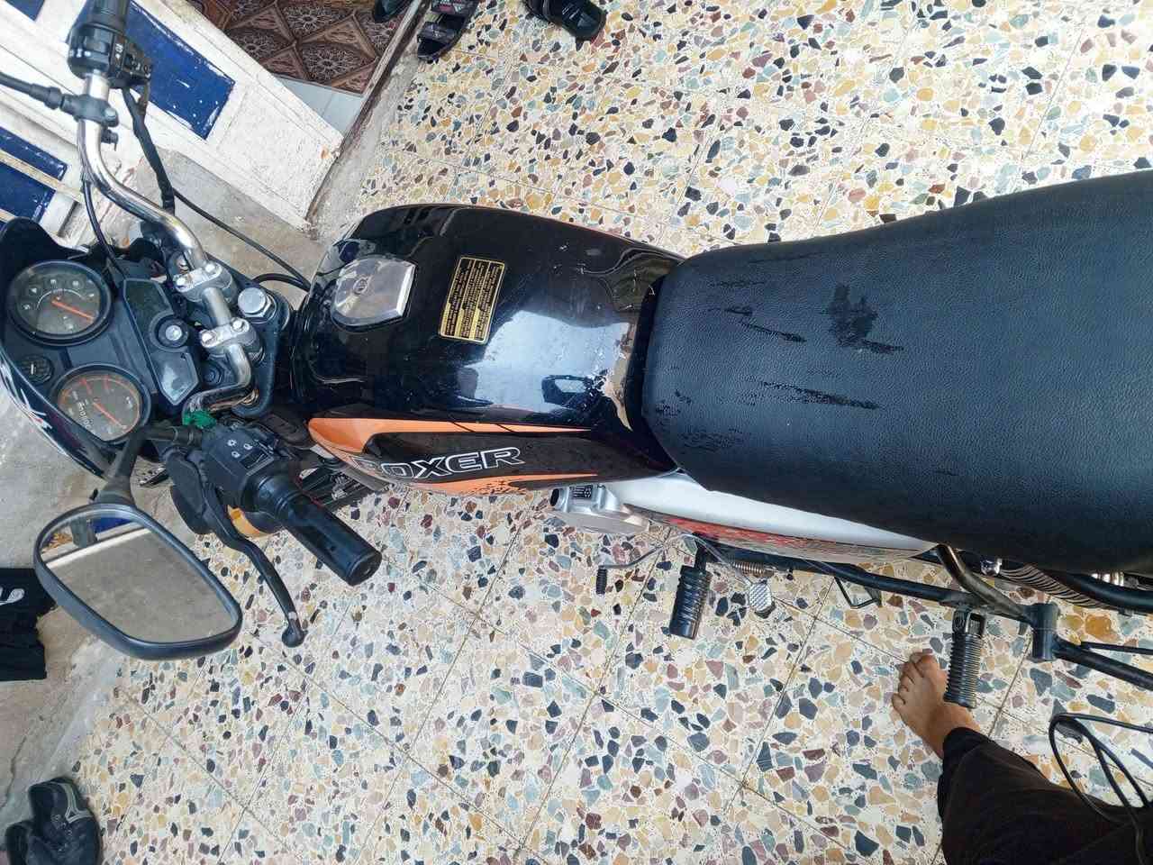 للبيع بوكسر موديل 21 اوراق أصولي للاستفسار الاتصال ‏‪***********‬‏

