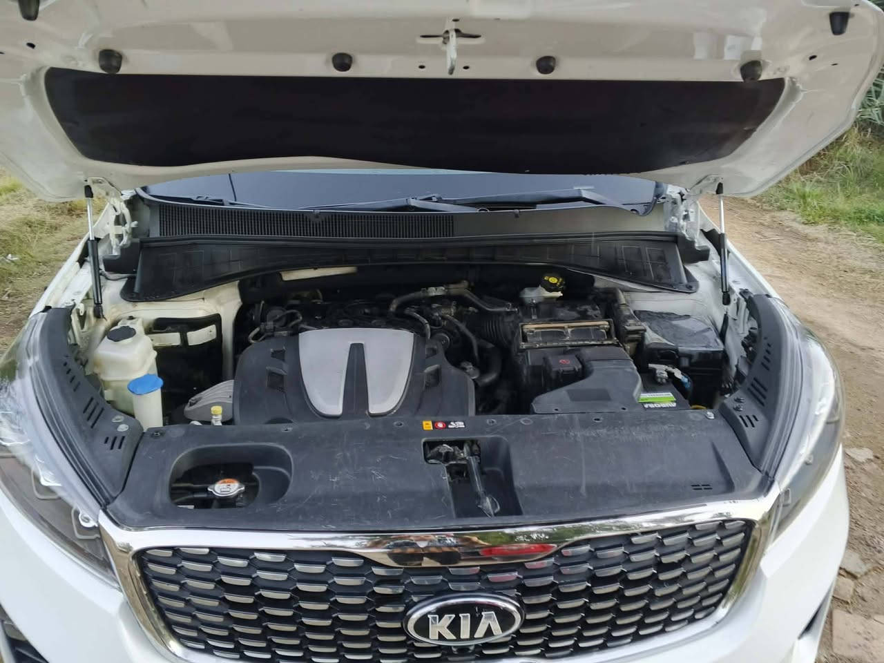 اسلام عليكم سورنتو خليجي موديل ٢٠١٩ رقم بغداد *********** مكلف بلنشر
سورنتو محرك كير صدر حادايه كهربائيات تبريد تدفئه كله وضع شركه فول عده الفتحه ملاحضه صبغ عام العنون دوره حي الاثورين اتصل ودلل السعر ١٨٠ مع مجال
