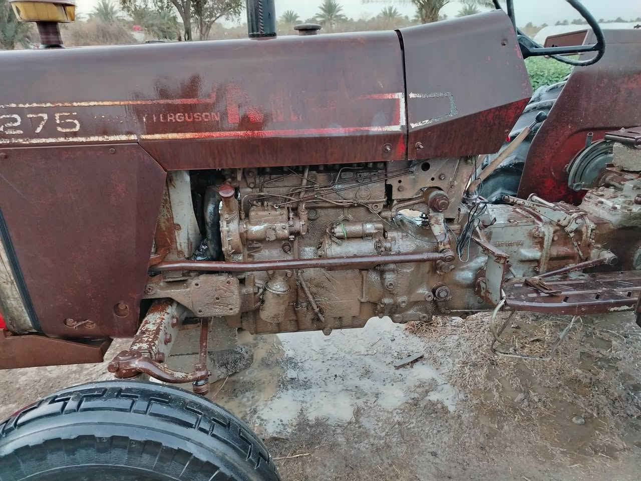 السلام عليكم
مكينه فوركسن  للبيع حجم ٢٧٥ بلادية مع معدات كاملة فيدان +معدلان+ خرماشه+ دراو+ ديج 
باقي التفاصيل اتصال ***********
