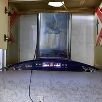 مرشحه • ما بيها ضرر • غزاليه