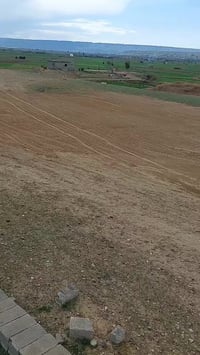 كاع للبيع يرهم مقدمه وقصاط  متع عيونك بهيج منظر طبيعي وام كلثوم تاخذها...