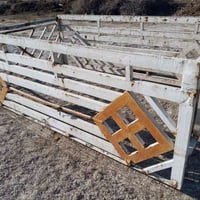 محجر • نضافة • كوت