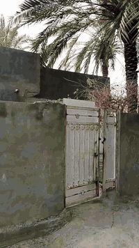 السلام عليكم دار مساحه 200 زراعي
قريب كلش عالشارع خدمات مي كهرباء مدارس بصفك كلشي متوفر يمك بيت جاهز بس اجيب غراضك وتكعد 
بابل قرب سيطره الآثار منطقه برنون 
سعره مناسب 25وبي مجال بسيط للشراي 
***********
