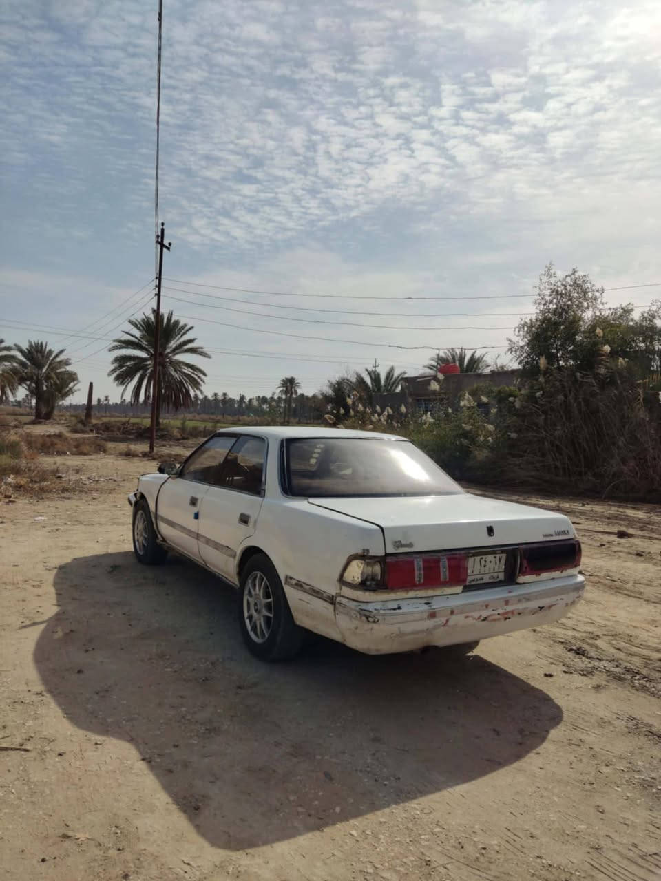 سياره مارك عضم مديل 1991
مكفوله من كصة جنطه وقماره ونقل جثه وكير ومحرك سنويه صاقطه 8 تشهر وعليه غرامات ٢٠٠ الف سعر 28 وبيه مجال لشراي المكان الديوانيه قضاء غماس الاستفسار عله الرقم ***********
