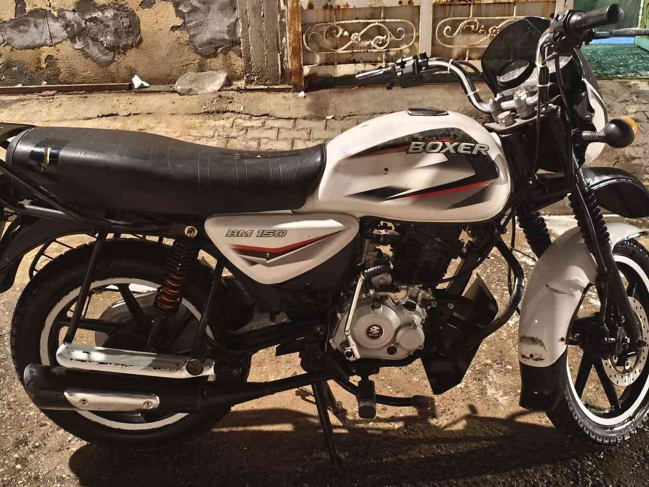 بوكسر باجاج موديل 2023
لون ابيض

حجم المحرك 150 سي سي

ماشيه 119

مستعملة

بدون رقم فقط اوراق كاملة

تاير خلفي جوبلس جديد

مكينة مامفتوحة وكالة مكفولة

السلف شغال 

الهورن موشغال

بيها ضربة يمين الفول مامأثرة تتغطى بدوشمه

واليو اس بي مال الشحن يم العداد مكسور 

للاستفسار اكثر واتساب ***********
