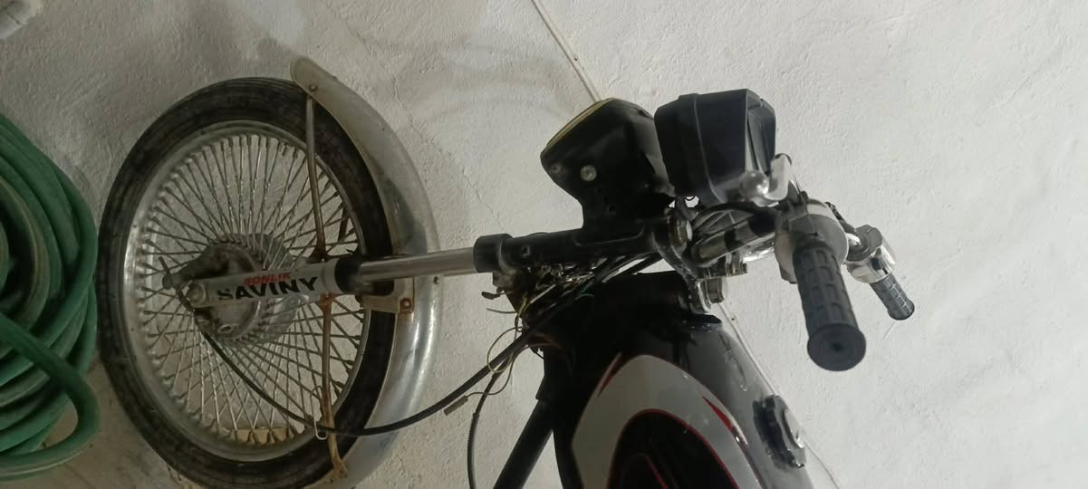 شوين كويه

بؤفرؤشتن نامي بةشةرت هةموو
گيرو مه كينه ي به شه رت  شتئ چركةي تيانيه تاية بؤتاية بةشةرت سعري200 هه زارو مه عامه له خوار هه مو بازار 
موشته ري تيل بكه 
*********** كويسينجاك, أربيل
