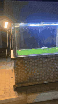 سلام عليكم ورحمة
كشك للبيع تفصال كامل جام كله خشب الثقيل الاصلي الجام ابو الطبقتين سلايت للبيع السعر 500الف وبيه مجال للشراي جديده بلكامل مكاني ديالى شهربان ***********
