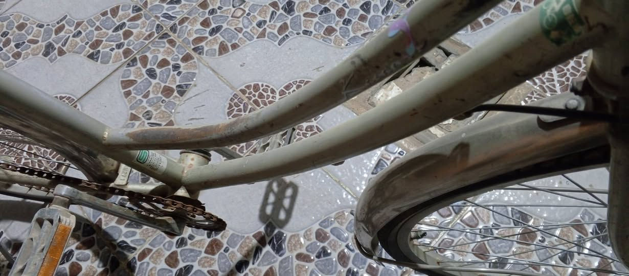 بسكل حلو ونضيف مستعجل عل بيعته  عوزه بس سله وره  مستعجل عل بيعته متوازي كلش سعر الباسكل  60 وبي مجال  للشراي  وتدللون  اخيك الي مو شراي ليطب خاص ***********0 تصلو عل هذا رقم بي وتساب
