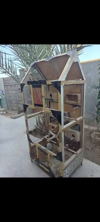 قفص كناري • مجال بسيط • فلوجه