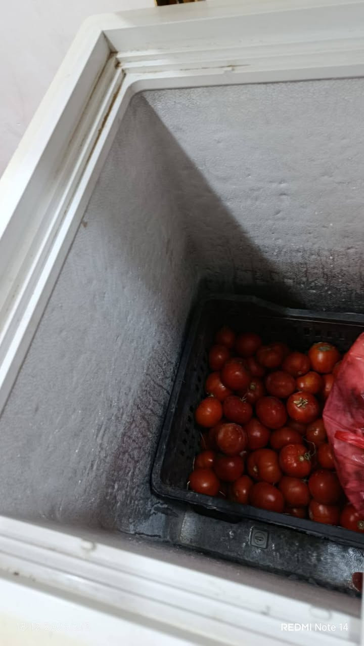 مجمدة 10 قدم شغالة تجميد فول الفول مكاني الحسينيه راشدية للاستفسار عن السعر خاص


**إذا كنت صاحب هذا الإعلان وتريد حذفه لأي سبب، رجاءا أرسل رسالة إلى الدعم الفني**