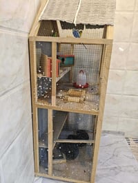 قفص • طول ١٥٠ • عرض ٦٠