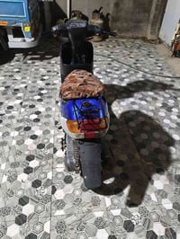 بطه • شغاله • حيره