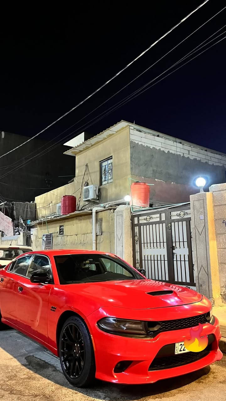 سلام عليكم اخوتي (ادوات ادوات ادوات)
وينه الي يدور جديد وكفاله1️⃣
جارجر 2018اصل  اصل 
كفاله عامه فتح كص ضربه 
رادار خلفي سياره كارتون ماشيه35k
دخول جديد ✈️
ارقام وسنويه اربيل طبق الاصل 
السعر 105 🔒
العنوان بصره الاستفسار ***********
