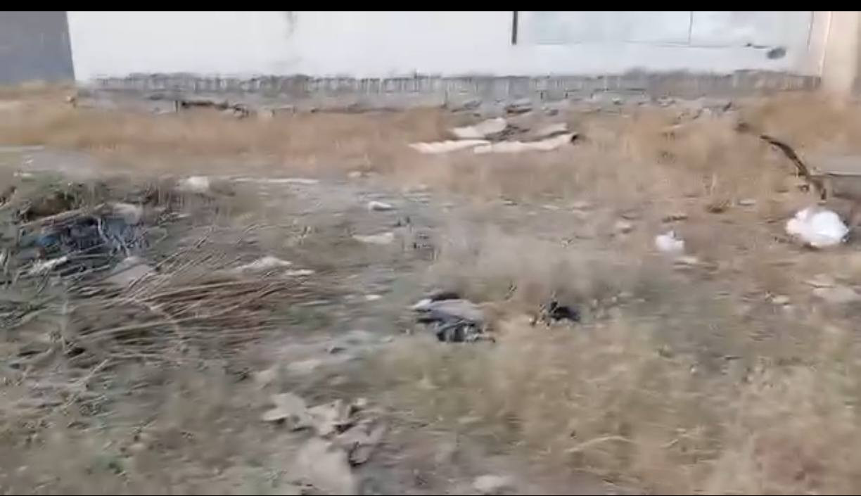 بسم الله الرحمن الرحيم
السلام عليكم ورحمة الله وبركاته
يعلن مكتب علي الصميدعي للاستثمار العقاري
عن توفر قطعة ارض للبيع المساحة ٣٠٠ متر واجه ١١ متر من الامام من الخلف تصير ٩ متر النزال ٢٦ متر الموقع حي التجنيد قرب محطة تعبئة المصافي عدنان عبدو ارض عدلة والمنطقة تحتوي على كافة الخدمات ماء اسالة كهرباء تبليط اناره مجاري ٠٠٠ للاستفسار عن السعر وباقي التفاصيل الاتصال على الارقام التالية او مراسلة الصفحة :
📞 *********** متوفر واتس اب
📞 *********** متوفر واتس اب
او زيارة مكتب علي الصميدعي للعقار الكائن في ديالى ٠ جلولاء ٠ حي الشهداء ٠ مقابل اتحاد شباب جلولاء ٠ ودائرة التقاعد ٠
