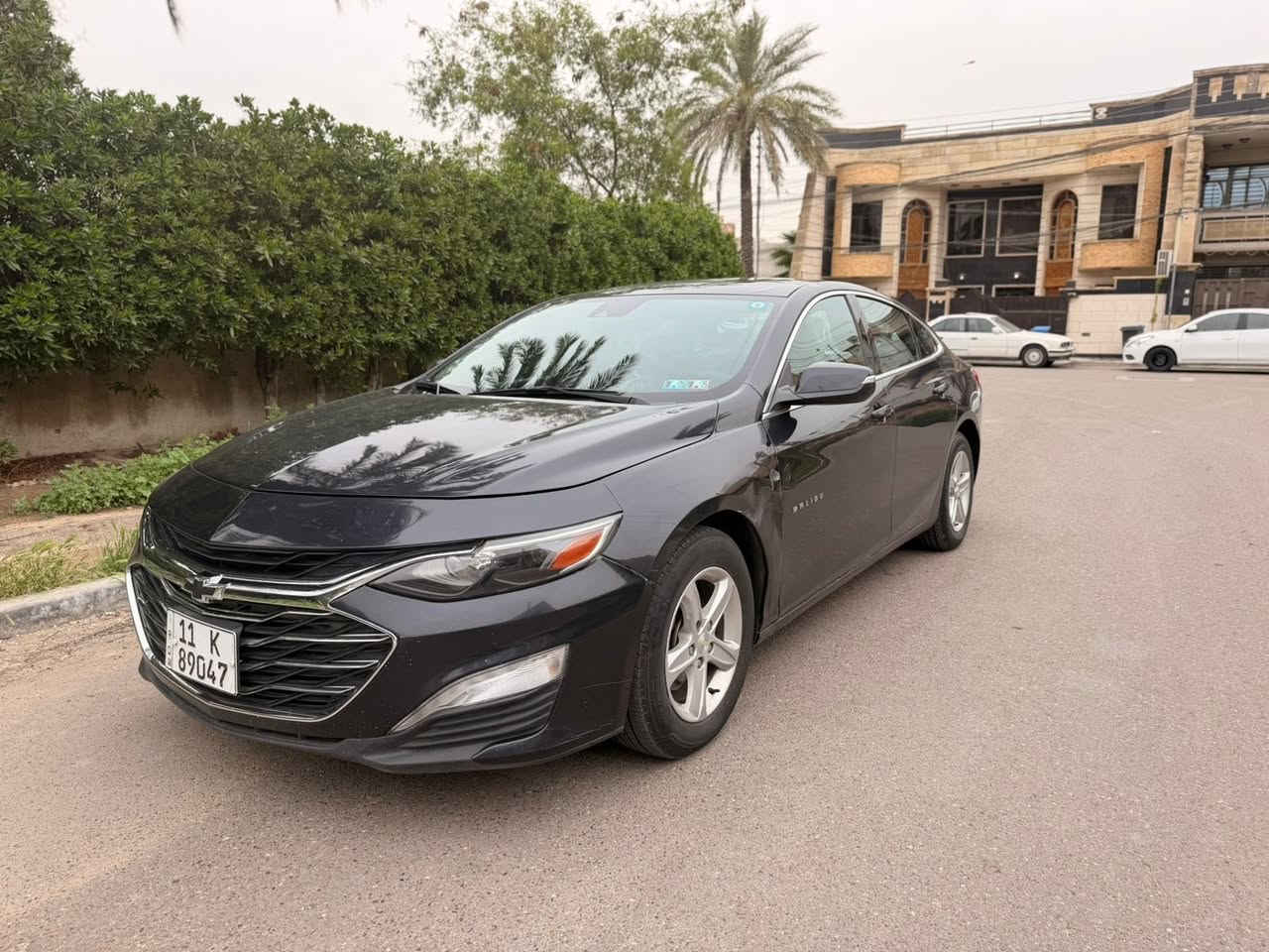 سلام عليكم
ماليبو 2023
مواصفات LT1 
تحديد مسار 
رادار امامي داتا شو 
رادار خلفي
سايد بريك كهربائي 
شاشة كار بلي + اندرويد اوتو

بدون دواخل موضح بالصور 
رقم بغداد 
السعر107 وبيها مجال بسيط
عنوان بغداد جادرية او خضراء
واتس او اتصال : ***********
