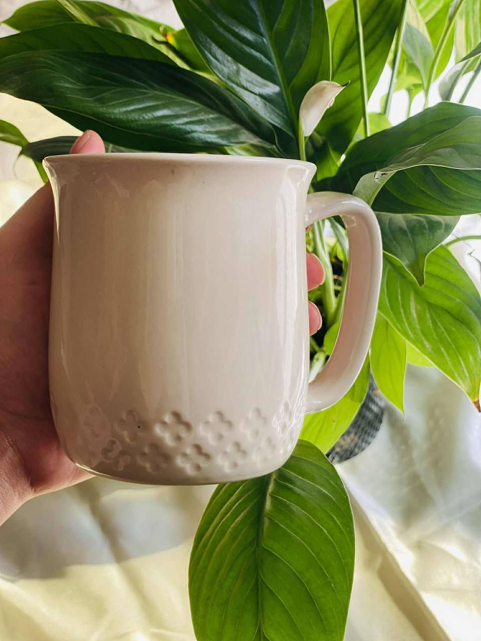 الحمد لله دائما وابدا ............................

اكواب احجام متوسط + كبير شكلهن يخبل
ومفيدات

الكوب ب الف ( بيهن دولكات صغار)  

عندي توصيل لكل مكان 💚


**إذا كنت صاحب هذا الإعلان وتريد حذفه لأي سبب، رجاءا أرسل رسالة إلى الدعم الفني**