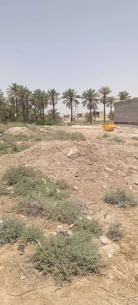 ١٢٥٠م • طابو زراعي • السبيليات الشرقيه