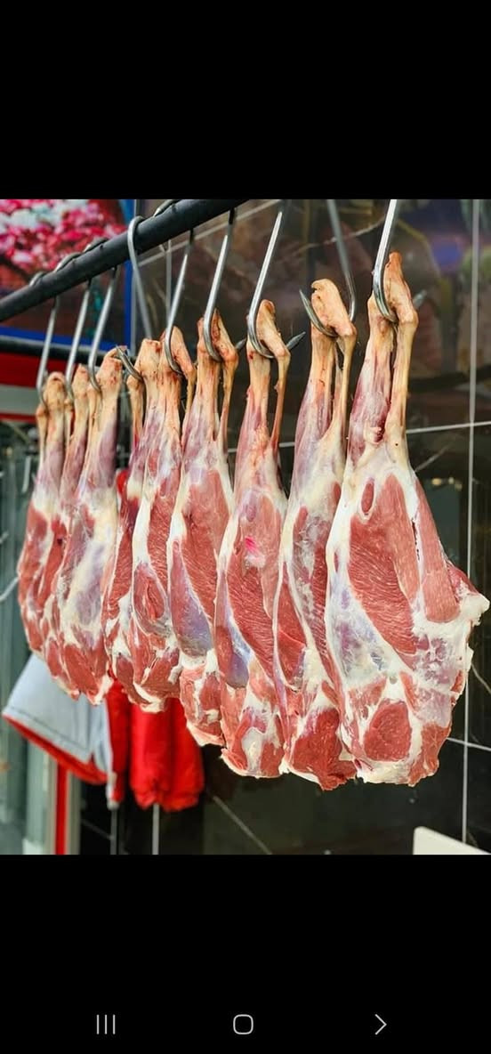 نقدم لكم أجود أنواع اللحوم العراقية الطازجة، ذبح يومي من مواشي الحويجة المعروفة بجودة لحومها 
وطعمها المميز، لتستمتعوا بالمعد النظافة والجودة.
قصابة عباس ....!
‏‪***********‬‏
***********

