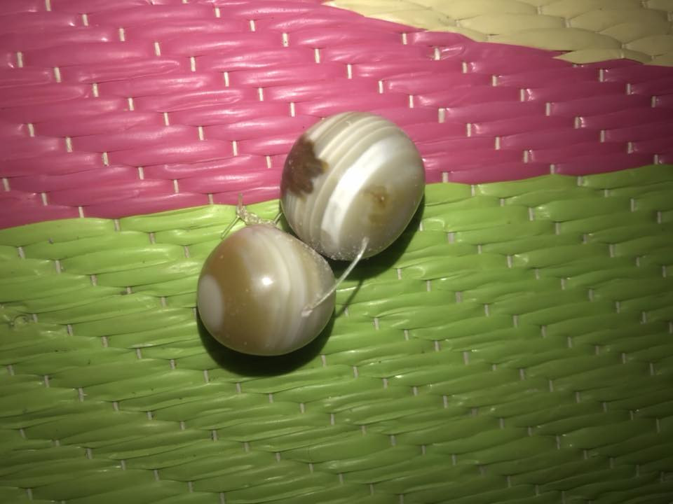 عطفه ماعرف سعرهن للبيع *********** مدينه الصدر
