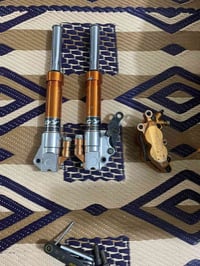 صالنصه • سكنس • قزم جيسو