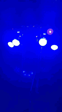 للبيع موديل ٩ رقم اسود راعيها موجود مكان ديوانيه قضاء المهناويه السعر ١٤٠٠ قفل بيها تصليح بلفخذ بصيط مو كص لا تصليح رقم الهاتف ***********
