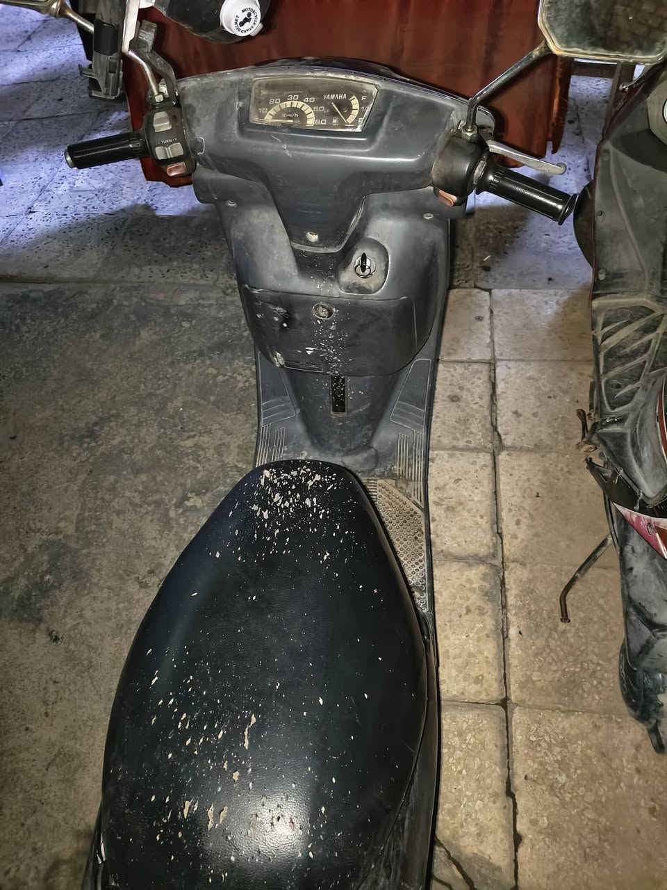 مكلف بالنشر
دراجه بزون 60 دراجه متروكه ضمان محرك وكهربائيات سلف وهندر عوزه ترتيبات خارجيه والتانكي مزروف لحمته مافاد ودية دهن اذا تريد تخلي خلي 150 ومجال بسيط مكاني بغداد الكسره


**إذا كنت صاحب هذا الإعلان وتريد حذفه لأي سبب، رجاءا أرسل رسالة إلى الدعم الفني**