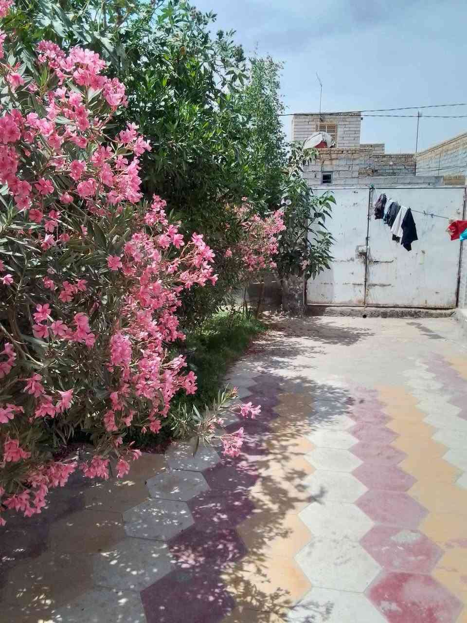 سلام عليكم مكلفه بالنشر 
بيت للبيع عنوان الحمزه الشرقي حي بجاي المساحه 400متر زراعي قرب شارع العام نزله الامام الحمزه الثانيه يرهم مراوس اوللبيع بمكان قريب ع ولايه يحتوي ع3غرف وصاله ومطبخ واستقبال مجمع صحيات وساحه خارجيه وحديقه للاستفسار اكثر الاتصالات ع احد الارقام 
الرقم الاول ***********
الرقم الثاني ***********
تفاصيل والصور 👇
