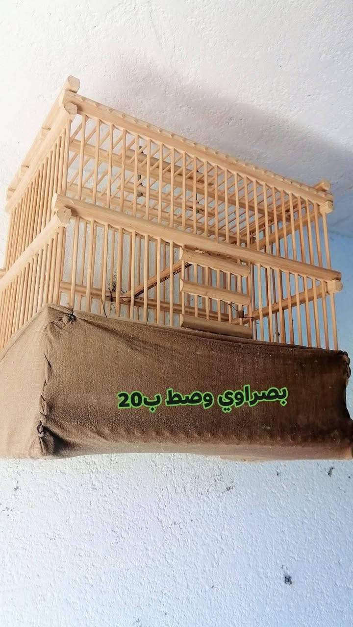 اقفاص بلابل كلمن وسعره

ناصريه بلمدينه *********** اتصال
