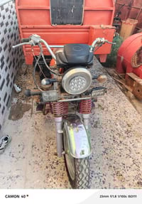 ليفان 2015 • سنوية منتهية • متاح