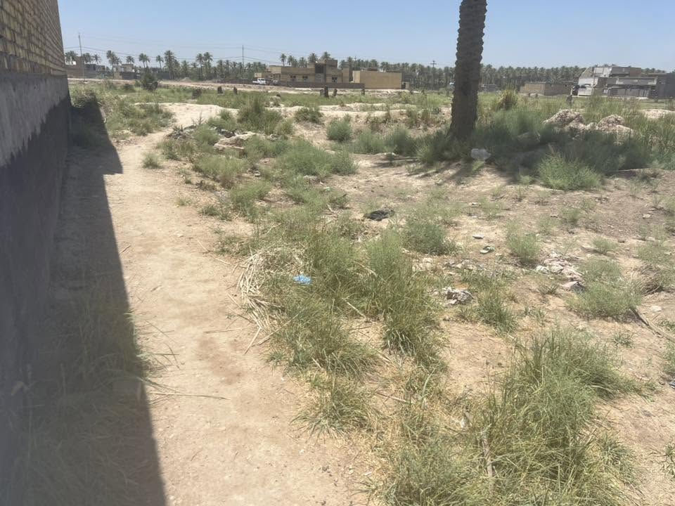 سلام عليكم توجد
قطعه ١٥٠ متر

ثمانيه ونص 

في ثمنطعش

قريب علي شارع ياحسين منطقة الغليس 

مقابل بانزين خانه مال عرفان

سند٢٥

خدمات تبليط

 ١٨ السعر ***********
