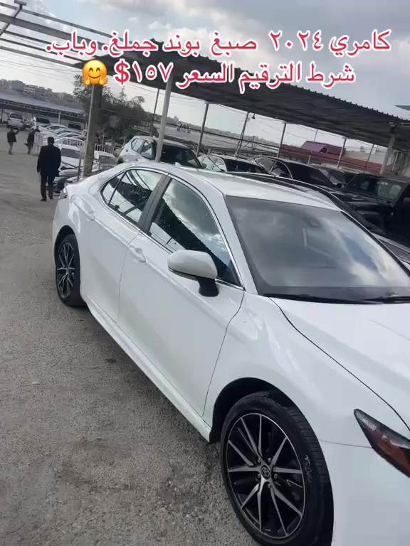 رقم واستاب كوره ك ***********
