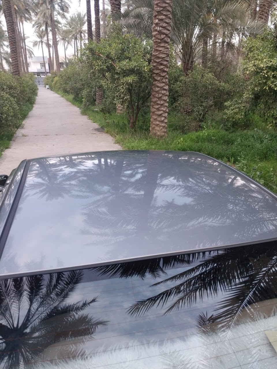 السلام عليكم شباب النترا موديل 2016 رقم بغداد بسمي السياره بيها قطع صبغ ابيع حزام السياره خليجي فول مواصفات عدا الفتحه مري شفط تحكمات ستيرن قطعتين تبريد السياره تخم تاير جديد صدر جديد مكينته 1600 دوش السعر 105 مكان السياره ديالى بعقوبه وهذا رقمي ***********
