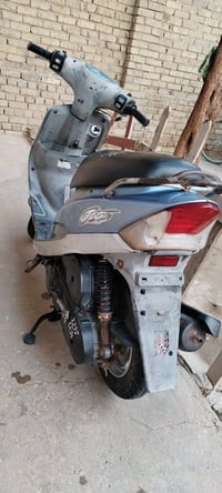 ماكس منغولي • كفالة عامة • كربلا