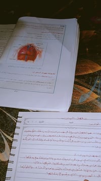 الفلوجة الرمادي • نفر ١٠ • خط مواصلات