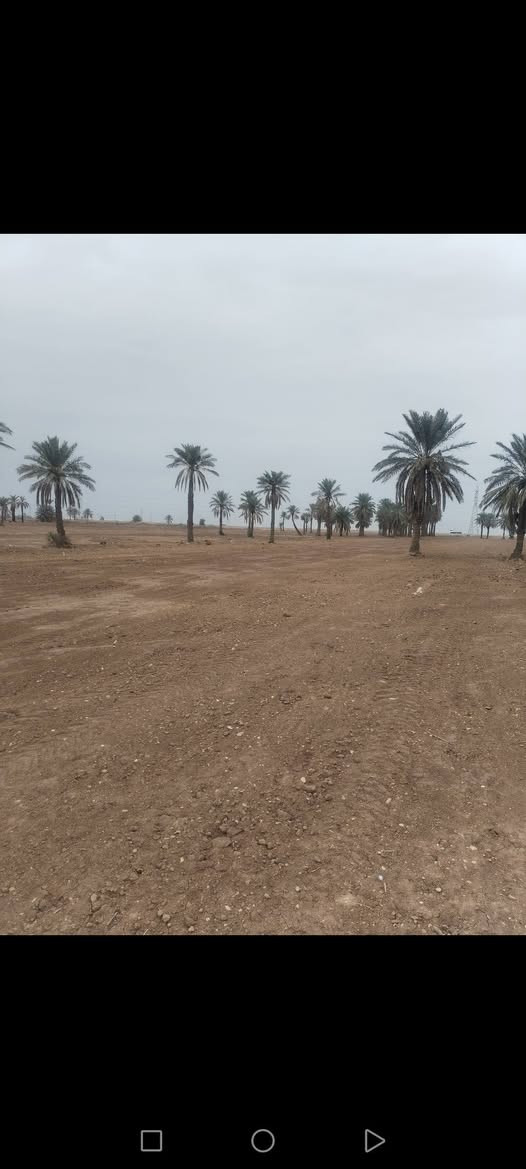 السلام عليكم 
توجد ١٠ دوانم طابو زراعي سند ٢٥
كوت طريق العام  بغداد قرب مركز شرطة السلام
وجه الكاع ٧٥ متر والطول ٤٥٠ متر متوفر جميع الخدمات للاستفسار الاتصال على الرقم ***********
***********
