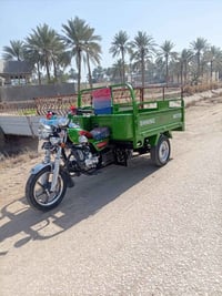 ستوتة ٢٠٢٣ • كفالة عامة • أوراق أصلية