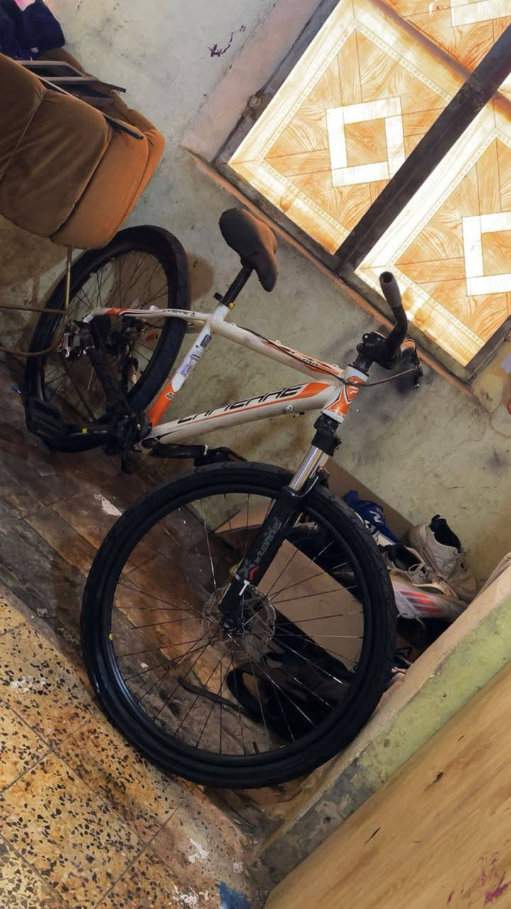 سلام عليكم بايسكل بايك اصلي امريكي ماخذه ب 160 ومعروف تكدر تاخذه وتعامل عليه وشوف سعره 85 بكاني بغداد لامين ثانيه


**إذا كنت صاحب هذا الإعلان وتريد حذفه لأي سبب، رجاءا أرسل رسالة إلى الدعم الفني**