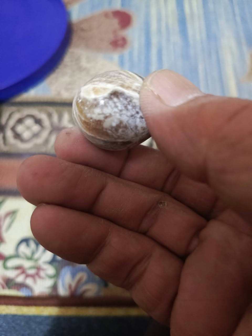 عقيق شجري چراخة البارحة ٢٥ الف كلهة مصورة


**إذا كنت صاحب هذا الإعلان وتريد حذفه لأي سبب، رجاءا أرسل رسالة إلى الدعم الفني**