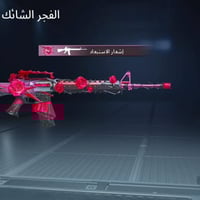 حساب ببجي • للبيع • سعر خاص