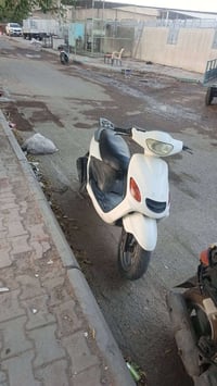 دوالفين • فحل • نضيف