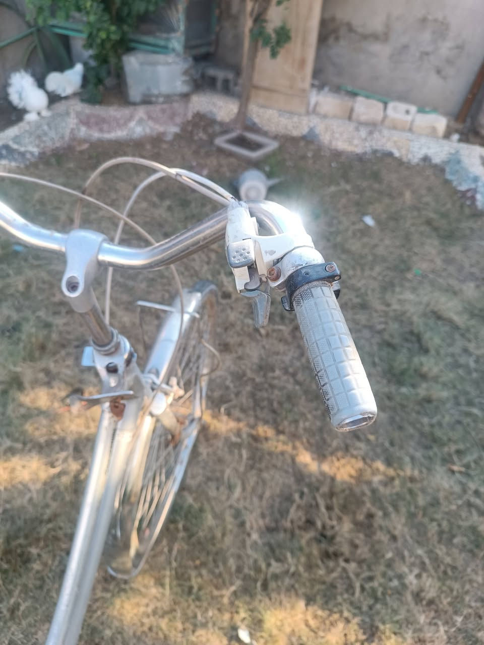 اسلام عليكم شباب. بايسكل للبيع حجم 26 نظيف كله استيل. وبيه كير سعر 50 الف الشراي يجي خاص. مكان مشخاب أم عرده
***********
