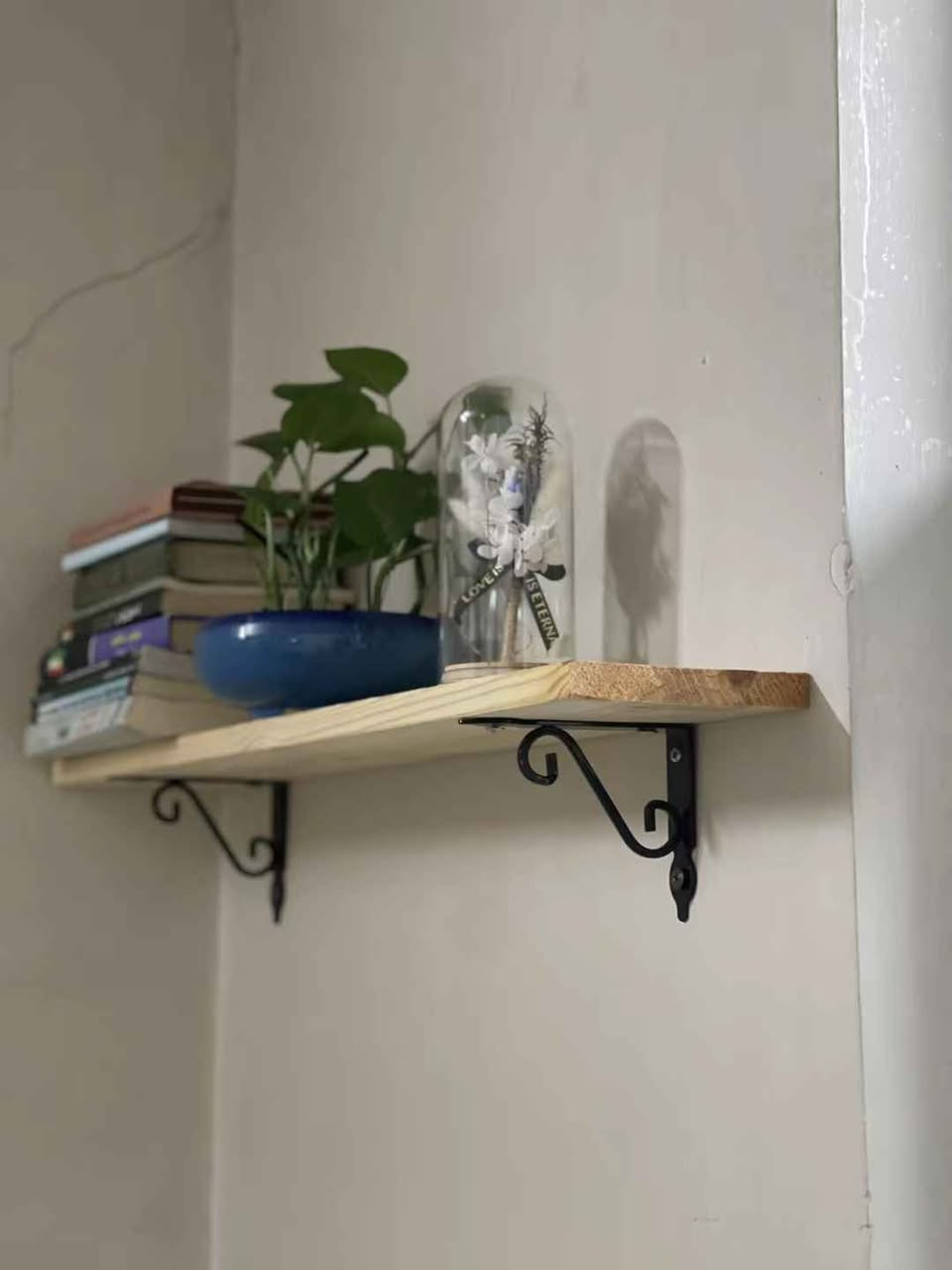 ڕەفە .سلێمانی خەبات نزیک قوتاب خانەی قەندیل گەیاندنمان هەییە بۆسەرجەم شارەکان .وەتس ئەپ ڤایبەر .***********_***********. السليمانية, العراق
