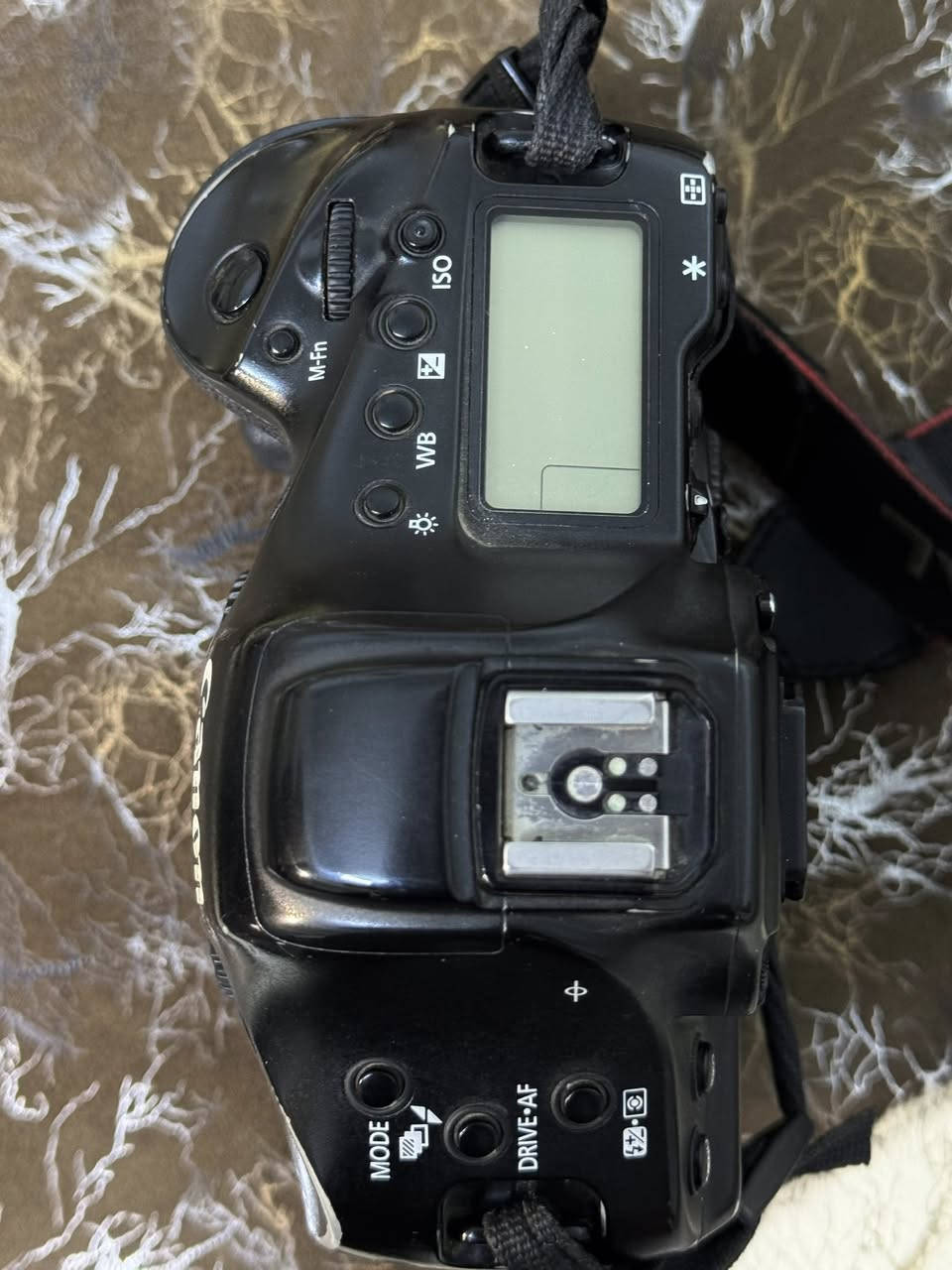 #كانون 1DXII بدي كامل وملحقات الاصلية شاحنة بطارية و رام 128گيكا
السعر 16 ورقة

مكاني كربلاء ***********
