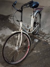 باسكل • ٢٦ • جسر اديالى الجديد