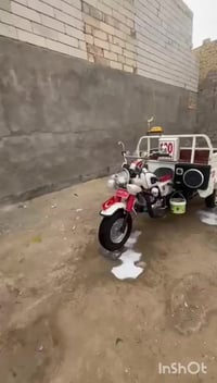 ستوته ١٤ • كرتون • ناصريه مركز