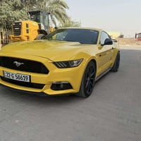 موستانغ • ٢٠١٥ • رقم اربيل