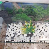 حوض سمك • ماطوره • فلتر