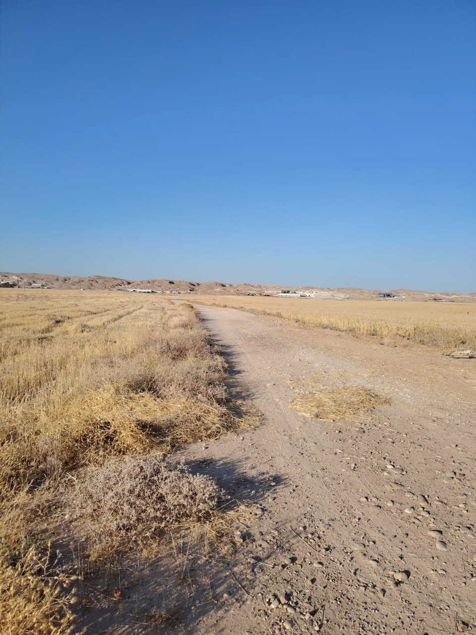 قطعه ارض للبيع زراعي مساحه ٤٠ دونم في كركوك ليلان خلف معمل غاز مسافه جوه قطعه ركن عليها شارع ترابي من طرفين كهرباء واصله اطرافه مزارع سعر دونم واحد ٣ مليون وينباع قطعه شلع للمزيد من المعلومات اتصال على رقم مبايل ***********
